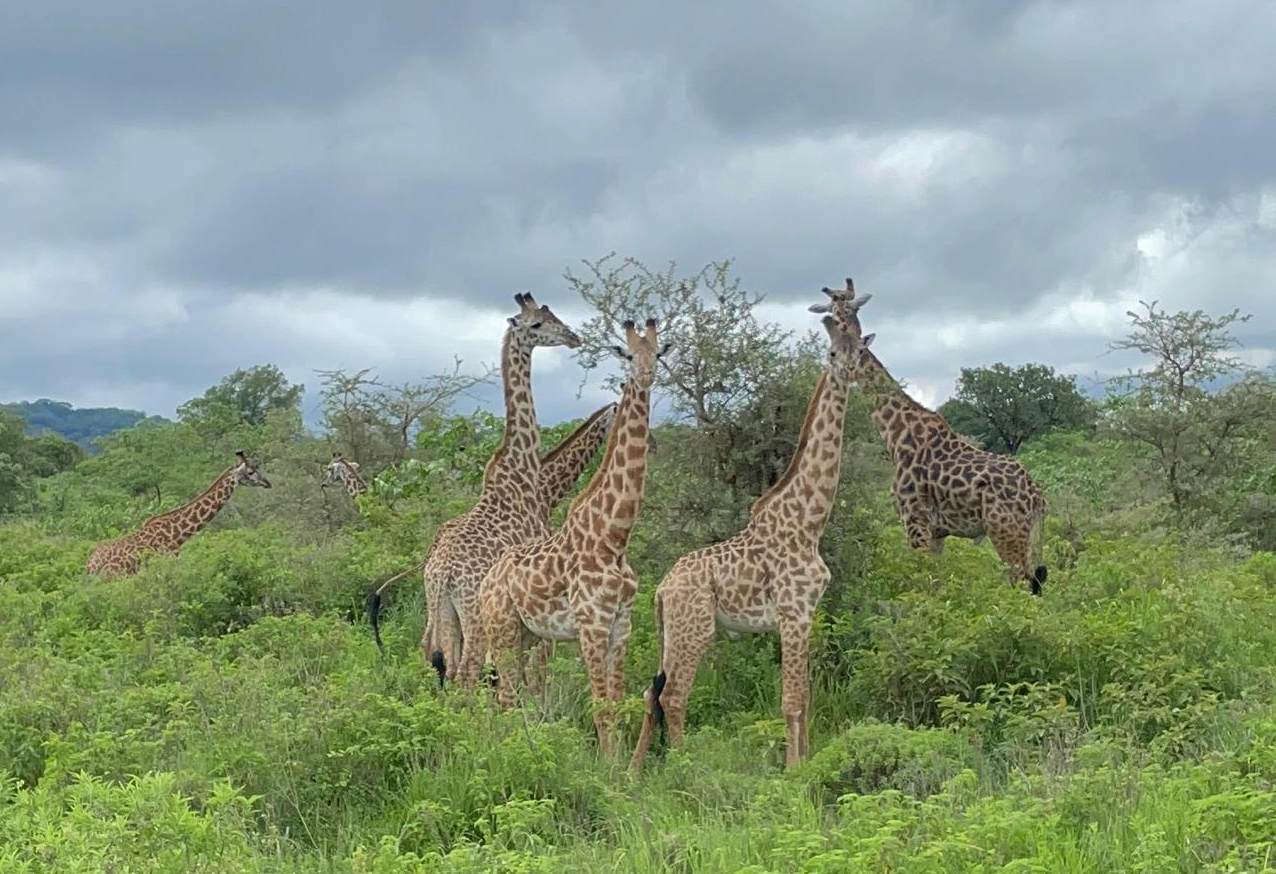 Arusha National Park