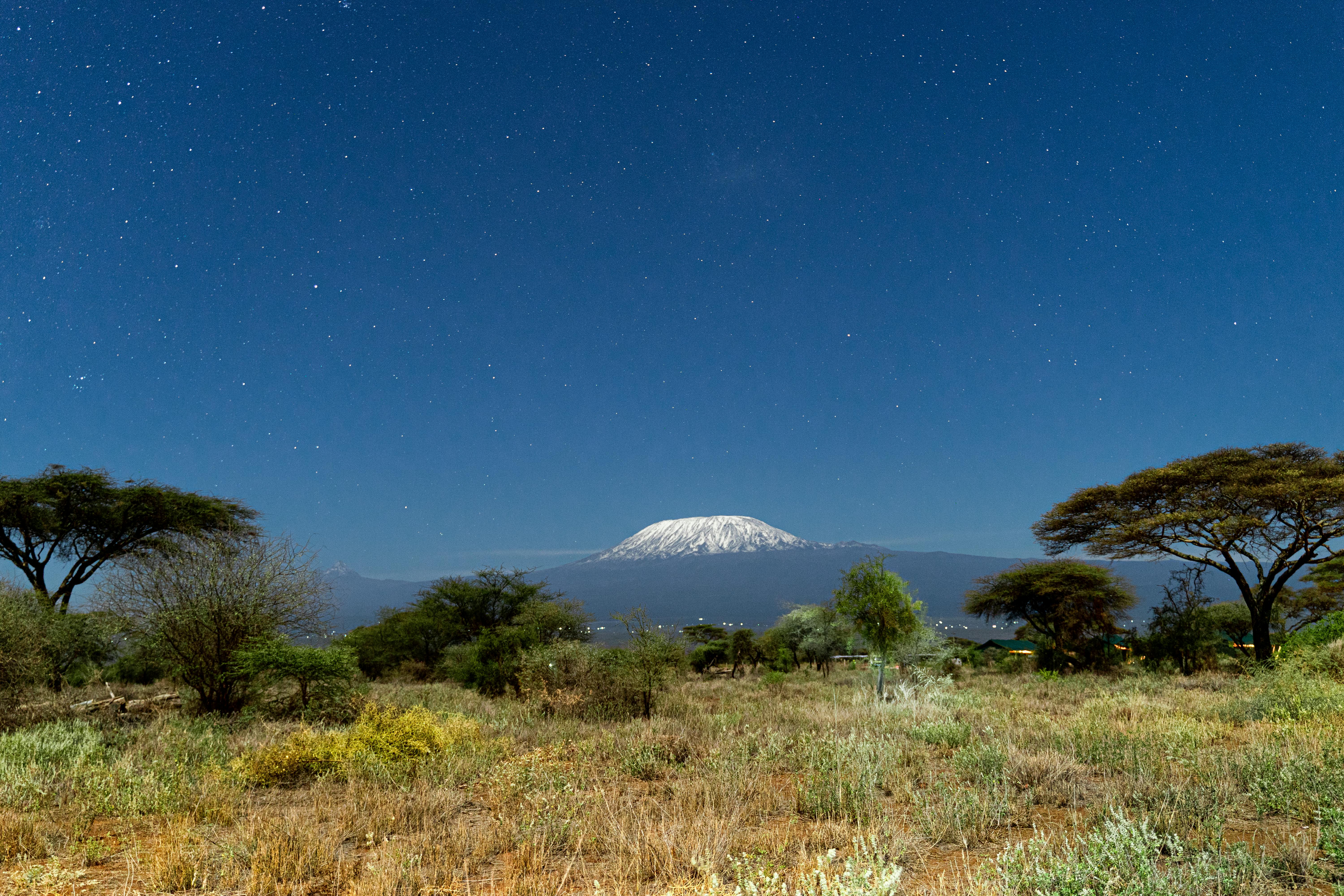 Kilimajaro